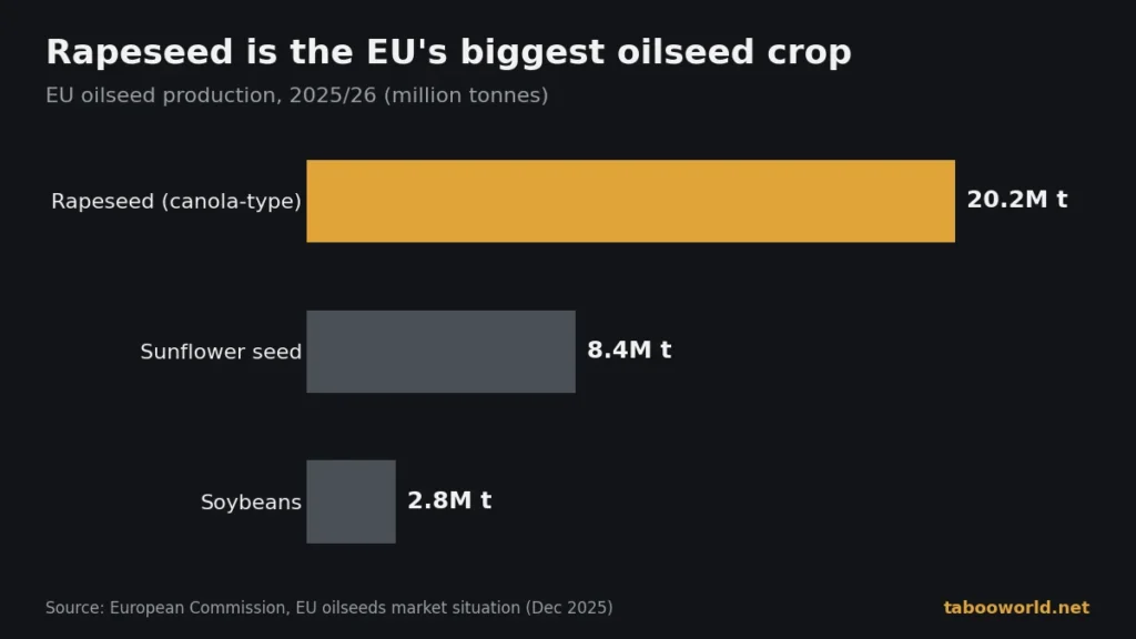 Bar chart of EU oilseed production 2025/26: rapeseed 20.2 million tonnes, sunflower 8.4 million, soybeans 2.8 million